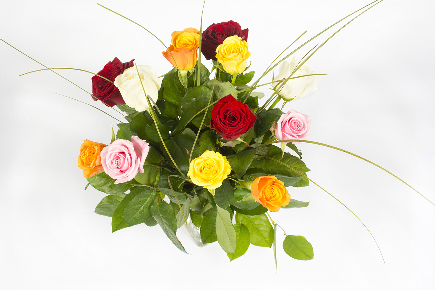 Bouquet de roses toutes couleurs – Conféttis