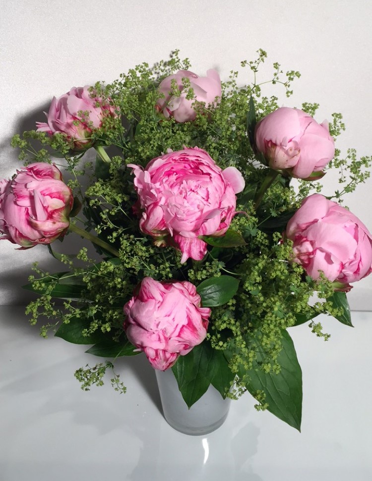 Bouquet de pivoines 