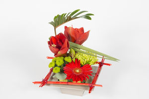 Composition florale carré rouge_ feu d'artifice