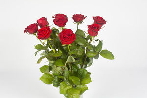 Bouquet de roses rouge – Cerise