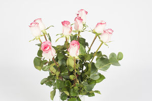 Bouquet de petites rose rose – Sucré