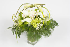 Bouquet rond vert et blanc – Félicitation